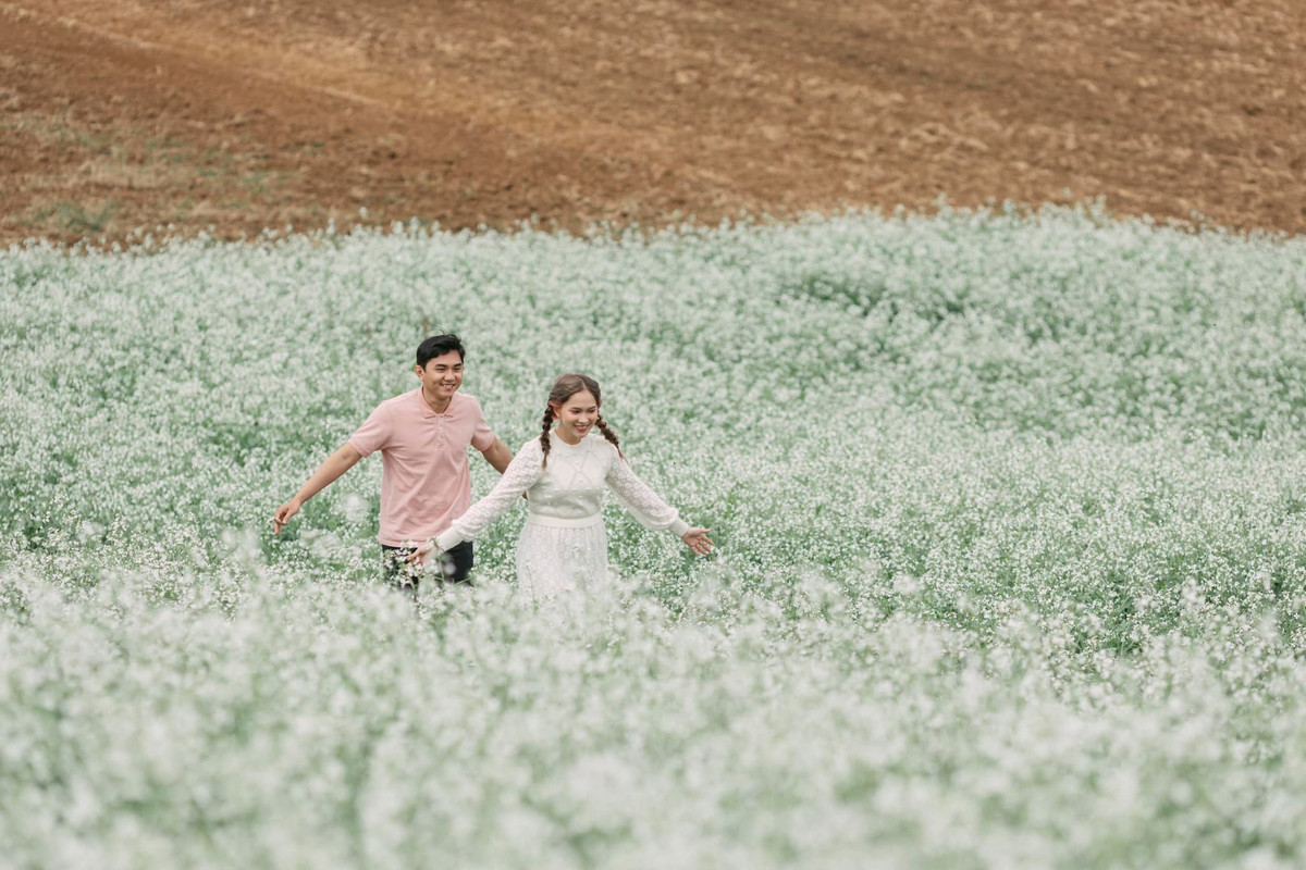 Hoa cải trắng ở Mộc Châu không nở lẻ tẻ mà theo từng cánh đồng phủ trắng các sườn núi, quả đồi, bản làng, thung lũng,…Ảnh: Ngựa Hoang