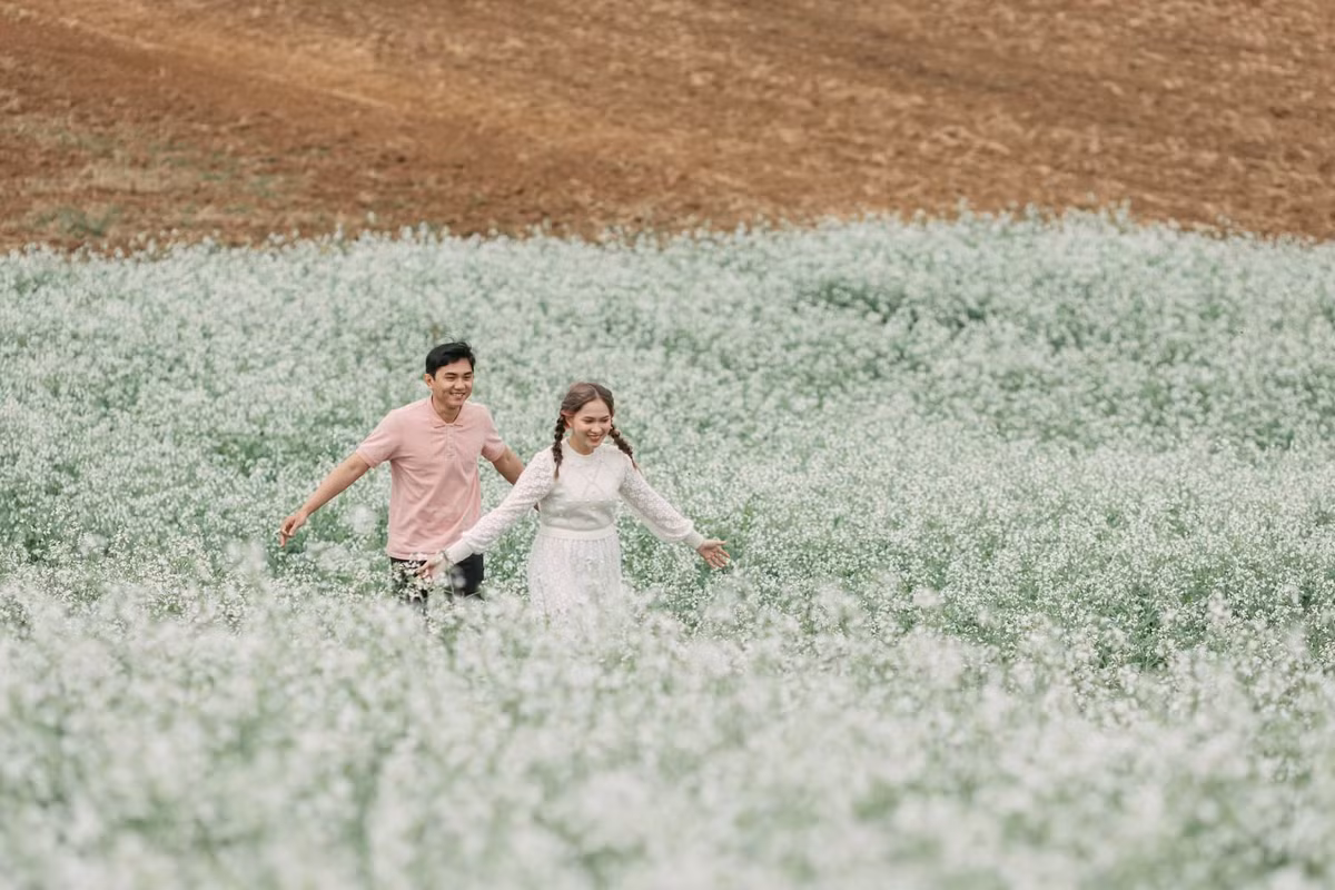 Hoa cải trắng ở Mộc Châu không nở lẻ tẻ mà theo từng cánh đồng phủ trắng các sườn núi, quả đồi, bản làng, thung lũng,…Ảnh: Ngựa Hoang