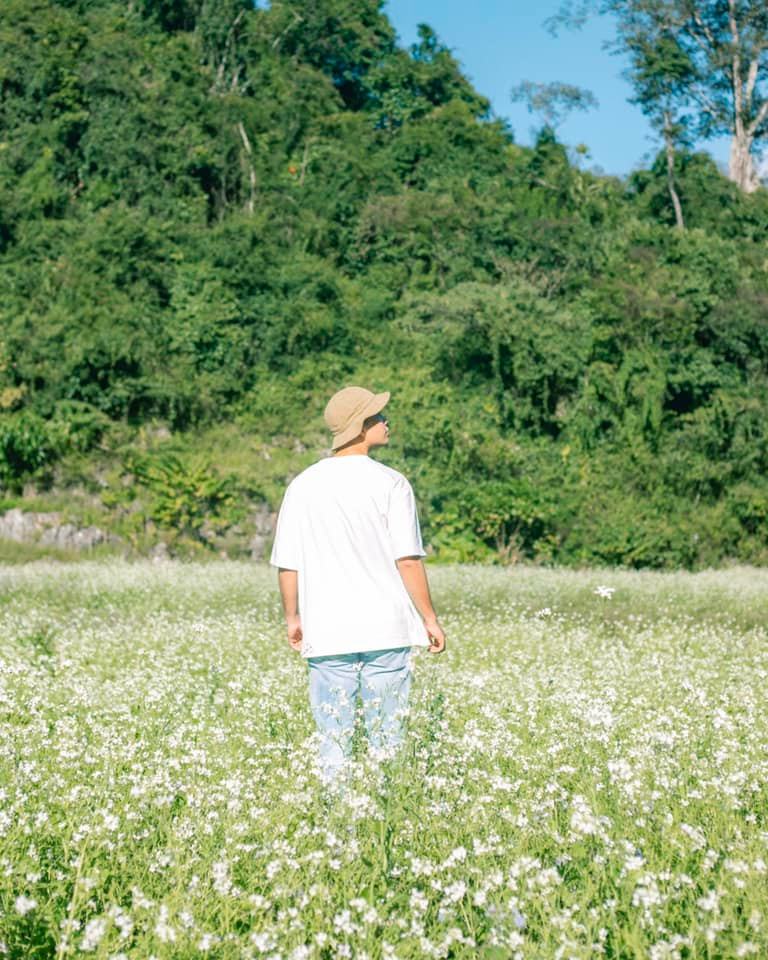 Loài hoa này kéo dài từ tháng 11 đến tháng 12, đây là khoảng thời gian mà khí trời se lạnh của những ngày đầu đông đang ngấp nghé. Ảnh: Bùi Ngọc Công