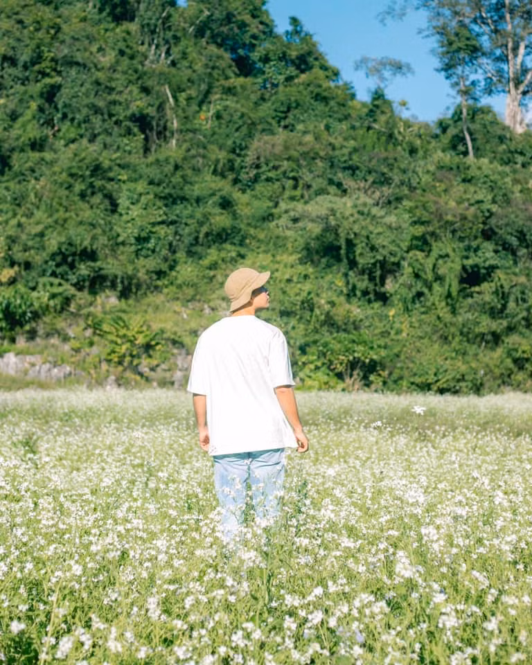 Loài hoa này kéo dài từ tháng 11 đến tháng 12, đây là khoảng thời gian mà khí trời se lạnh của những ngày đầu đông đang ngấp nghé. Ảnh: Bùi Ngọc Công