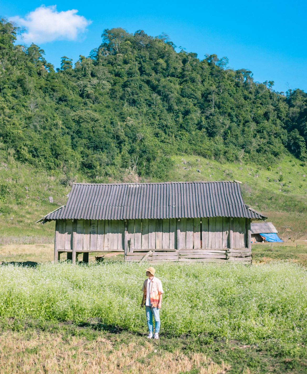 Một trong những nét quyến rũ nhất của du lịch Mộc Châu khi trời đất sang đông đó là sắc trắng của hoa cải trải rộng khắp không gian, tạo nên một khung cảnh thần tiên, lãng mạn. Ảnh: Bùi Ngọc Công