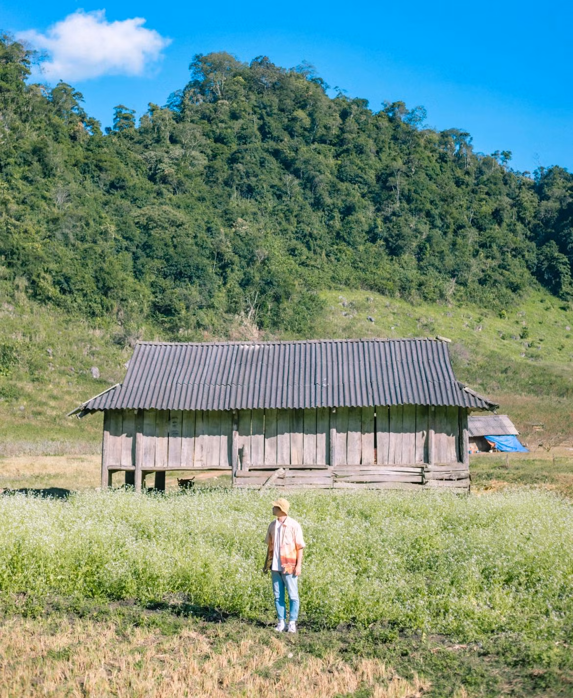 Một trong những nét quyến rũ nhất của du lịch Mộc Châu khi trời đất sang đông đó là sắc trắng của hoa cải trải rộng khắp không gian, tạo nên một khung cảnh thần tiên, lãng mạn. Ảnh: Bùi Ngọc Công
