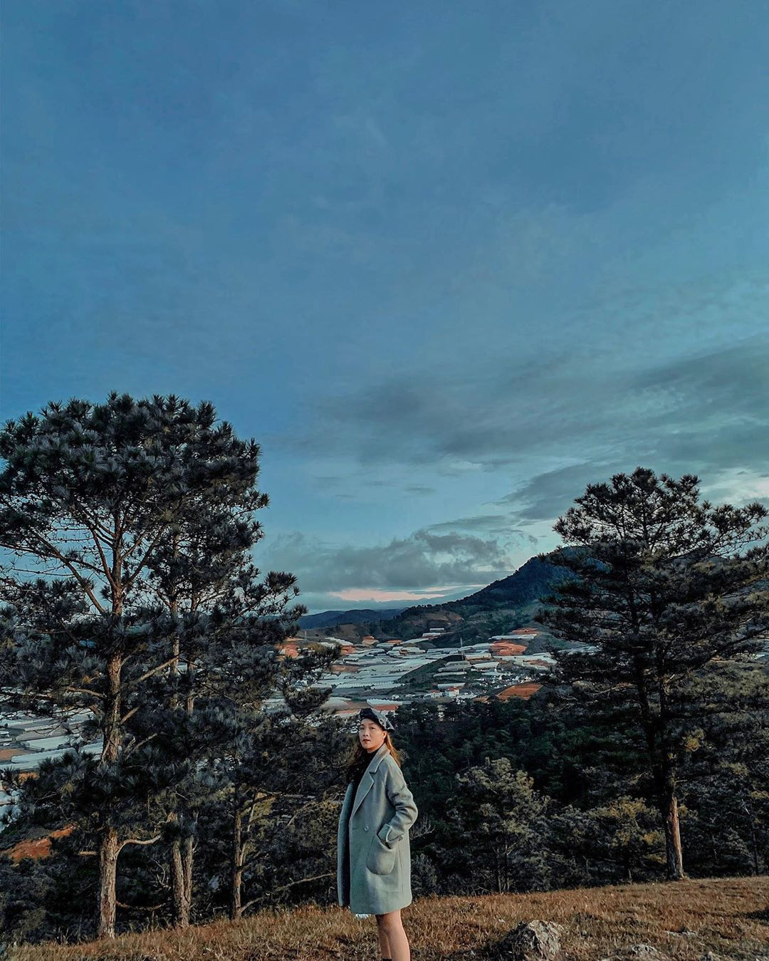 Khu vực đồi cỏ hồng cũng có cánh rừng thông. Sự kết hợp giữa đồi cỏ hồng và đồi thông tạo nên một bức tranh phong cảnh tuyệt đẹp.