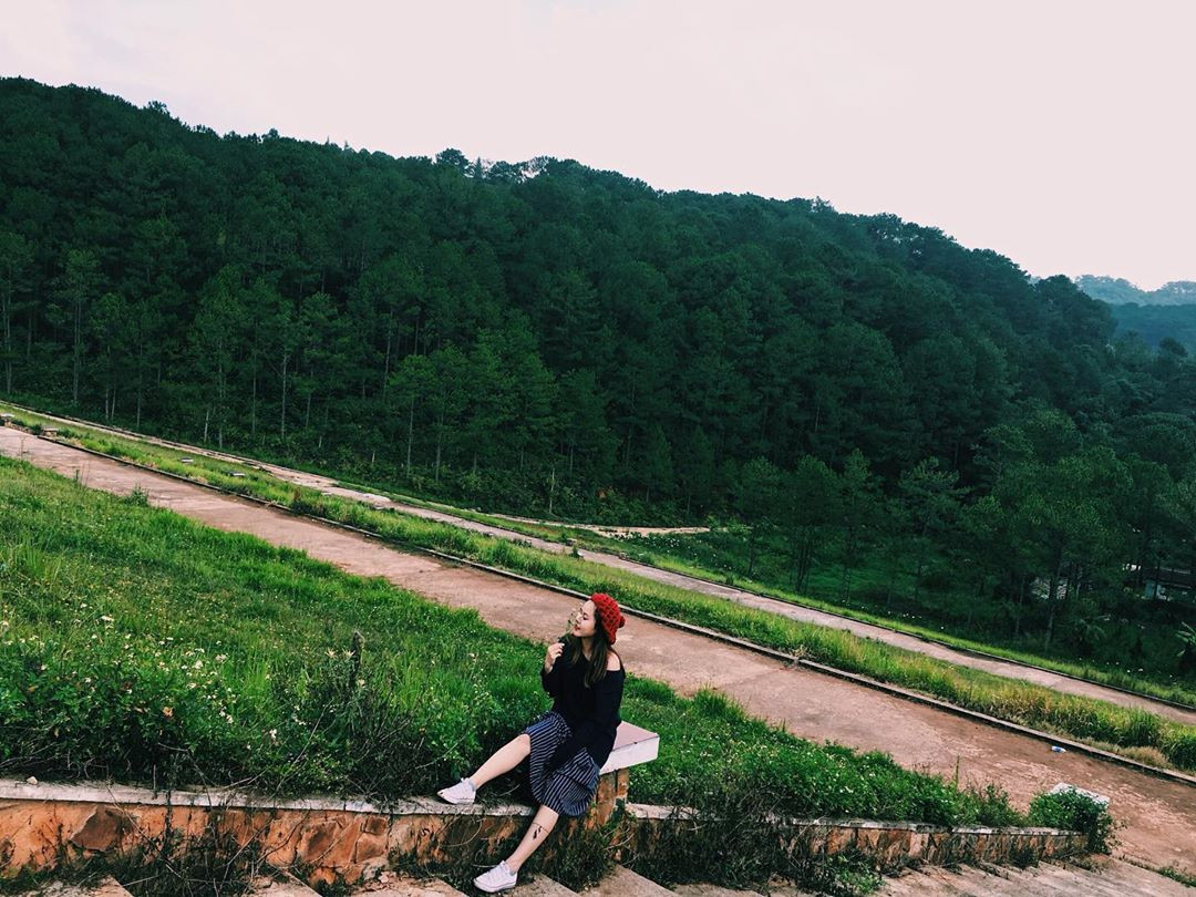 Thông ở đây mọc tự nhiên, cây nọ chen chúc với cây kia tạo thành một tấm thảm cây che mát cực lớn.