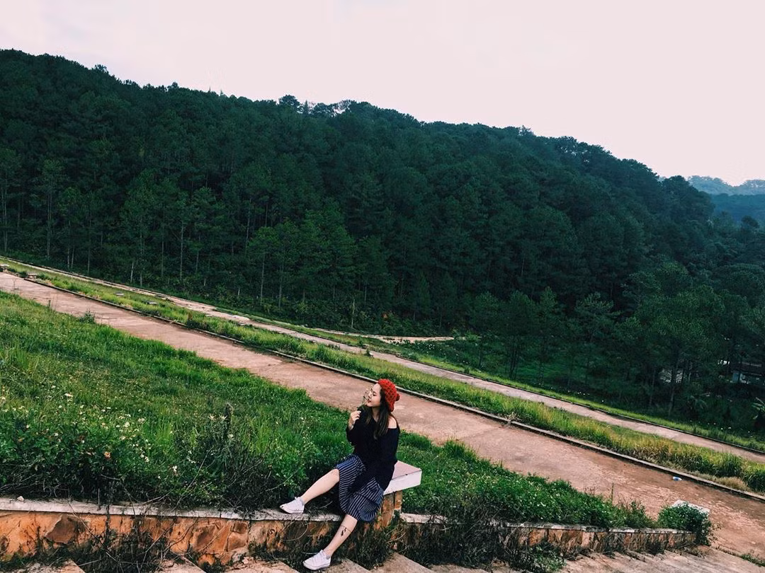 Thông ở đây mọc tự nhiên, cây nọ chen chúc với cây kia tạo thành một tấm thảm cây che mát cực lớn.