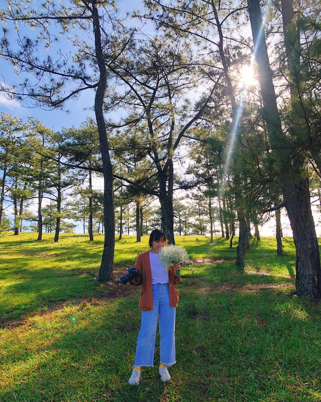 Đến du lịch Đà Lạt đừng quên check in rừng thông đồi cỏ hồng, đây cũng là điểm check in được nhiều du khách tìm đến trước đi đến Đồi Cỏ Hồng.