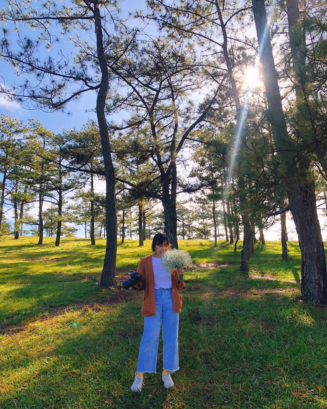 Đến du lịch Đà Lạt đừng quên check in rừng thông đồi cỏ hồng, đây cũng là điểm check in được nhiều du khách tìm đến trước đi đến Đồi Cỏ Hồng.