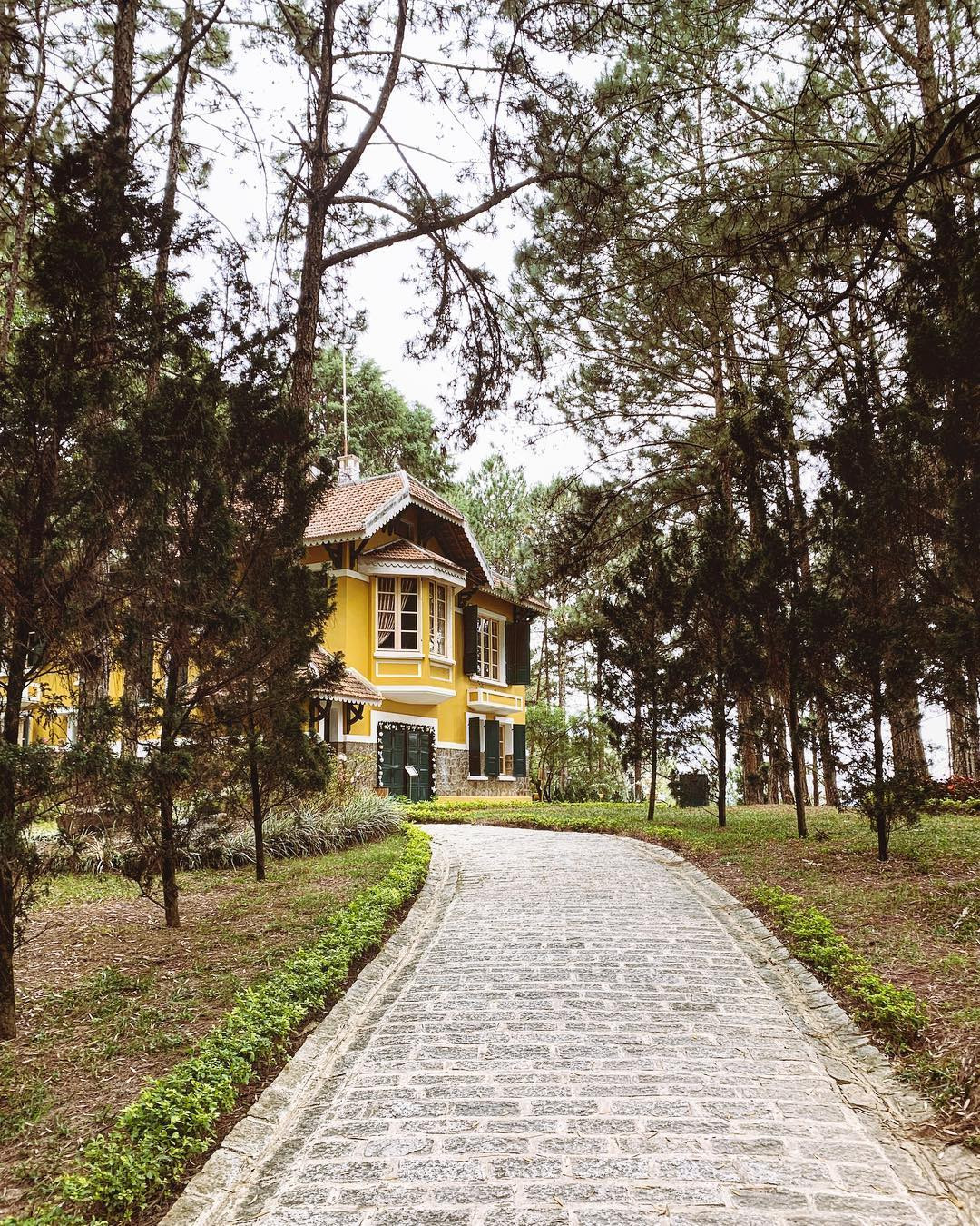 Trên con đường vào dinh là hàng thông rợp bóng, phù hợp để du khách đứng giữa check in. Ảnh: Tổng hợp