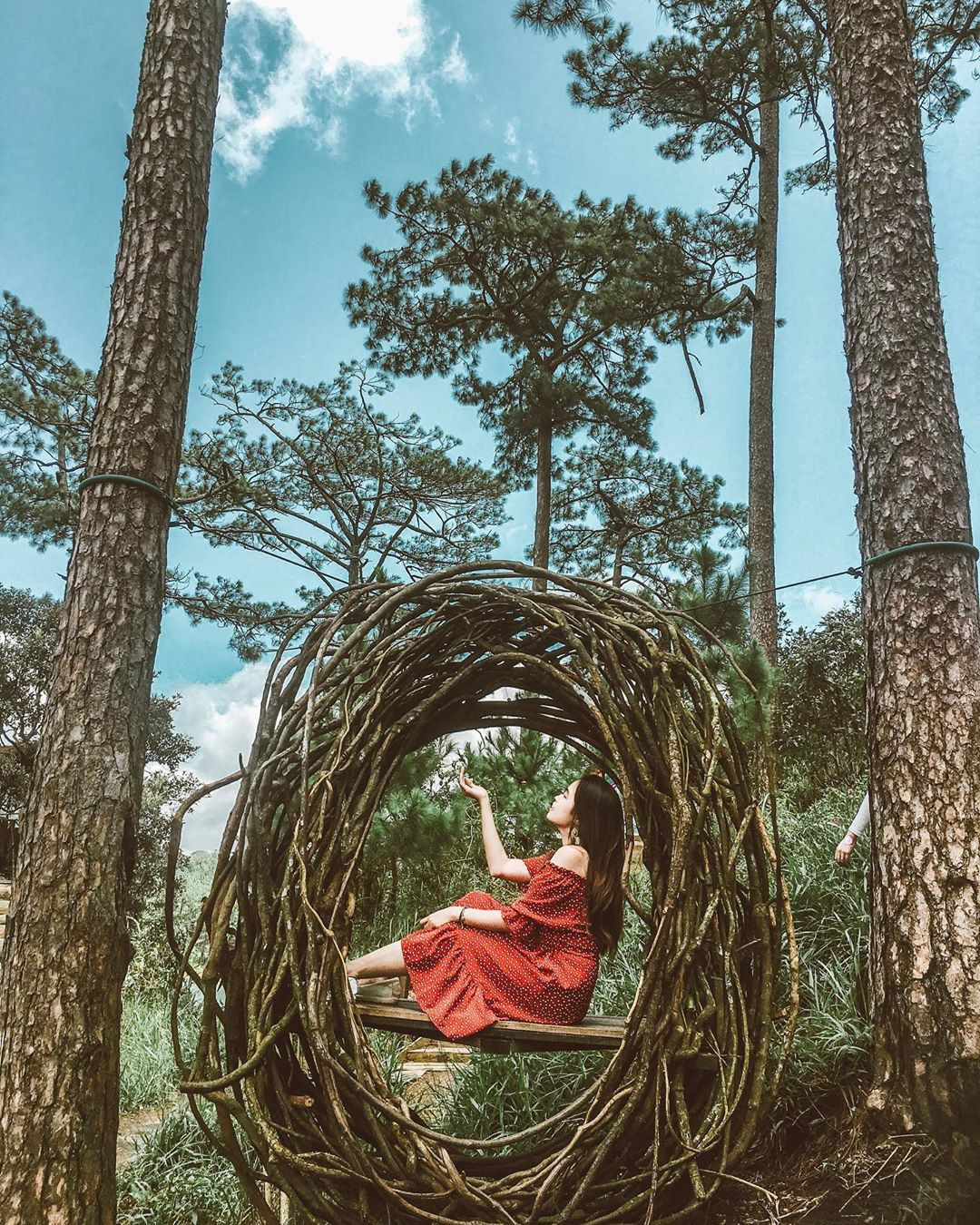 Bên mép rừng thông sát hồ Tuyền Lâm người ta cho xây dựng những ngôi nhà gỗ. Đứng từ vị trí các ngôi nhà này bạn có thể chiêm ngưỡng toàn bộ hồ.