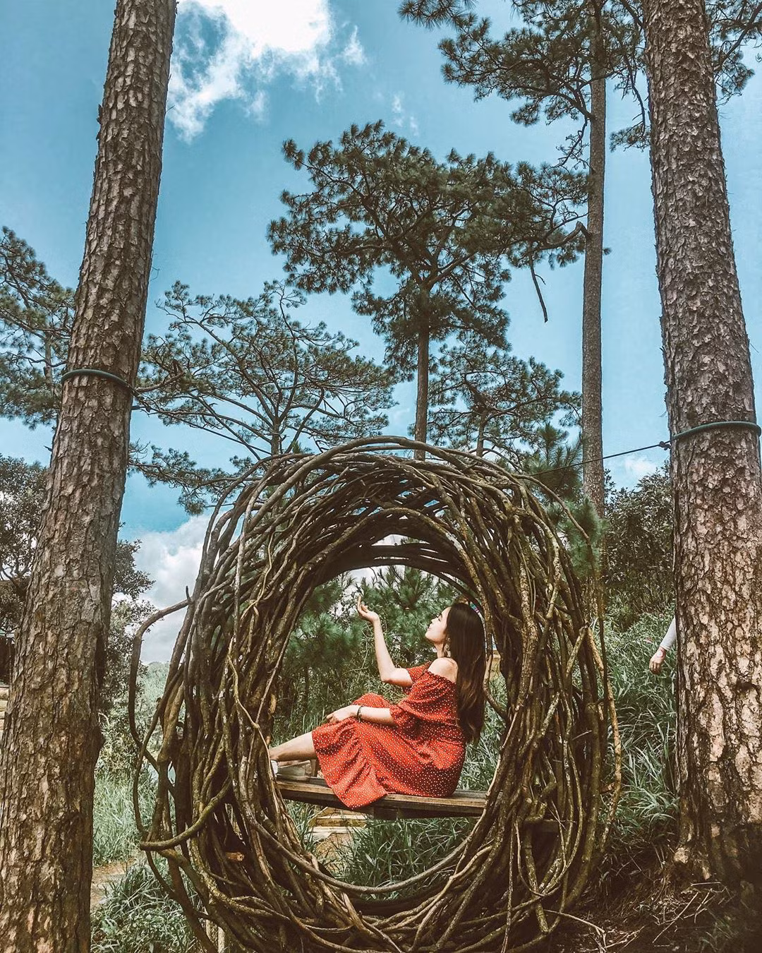 Bên mép rừng thông sát hồ Tuyền Lâm người ta cho xây dựng những ngôi nhà gỗ. Đứng từ vị trí các ngôi nhà này bạn có thể chiêm ngưỡng toàn bộ hồ.