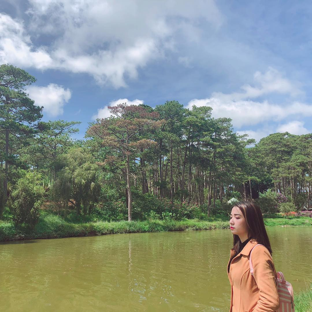 Một trong những rừng thông Đà Lạt được nhiều người biết đến là ở đối diện hồ Than Thở. Rừng thông này là rừng thông ba lá tuyệt đẹp hiếm thấy.