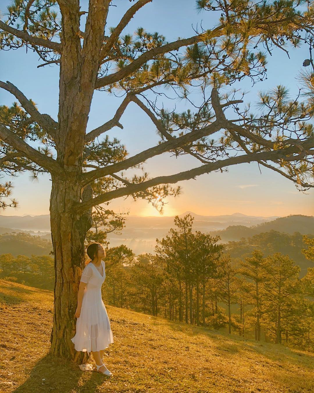 Do chưa đưa vào khai thác phục vụ du lịch nên rừng thông ở đây còn nguyên vẻ hoang sơ.