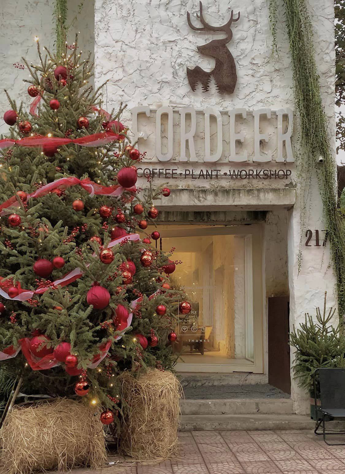 ForDeer- Coffee with tree, địa chỉ ở 217 Tô Hiệu, Cầu Giấy. Ảnh: Nguyễn Thủy