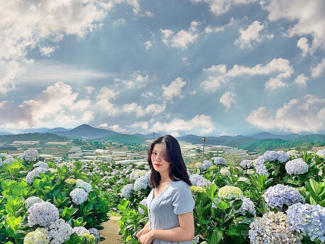 Đặc biệt đây cũng là thời điểm mà Đà Lạt có thời tiết ấm áp và dễ chịu nhất.