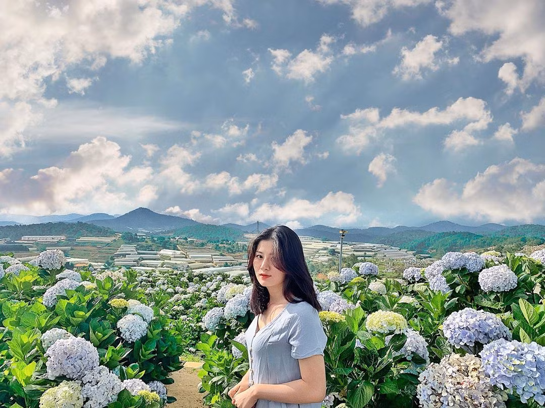 Đặc biệt đây cũng là thời điểm mà Đà Lạt có thời tiết ấm áp và dễ chịu nhất.