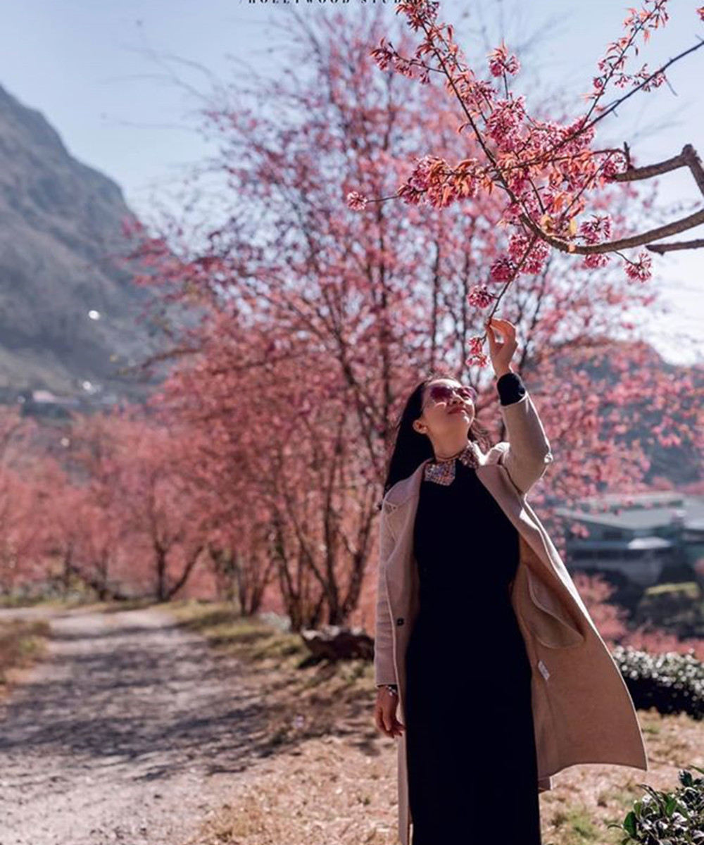 Đến Sapa vào mùa xuân sẽ được trải nghiệm “đặc sản” sương mù của thành phố.