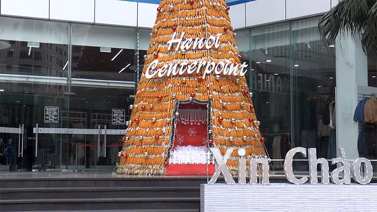 Cây thông Noel là "linh hồn" của ngày lễ Giáng sinh, mỗi năm vào dịp này tại Việt Nam lại xuất hiện những cây thông vô cùng độc đáo bằng các nguyên liệu không ai nghĩ tới. Ảnh: Lê Phú/Báo Tin Tức