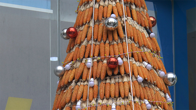 Khi cây thông làm bằng ngô hoàn thành đã thu hút rất nhiều du khách, nhất là các bạn trẻ đến chụp ảnh làm kỷ niệm bên cây thông Noel độc đáo này. Ảnh: Lê Phú/Báo Tin Tức