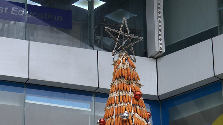 Mới đây cư dân mạng trầm trồ với hình ảnh cây thông Noel được làm từ 8000 bắp ngô, đặt tại khu chung cư số 27 Lê Văn Lương (Thanh Xuân, Hà Nội). Ảnh: Lê Phú/Báo Tin Tức