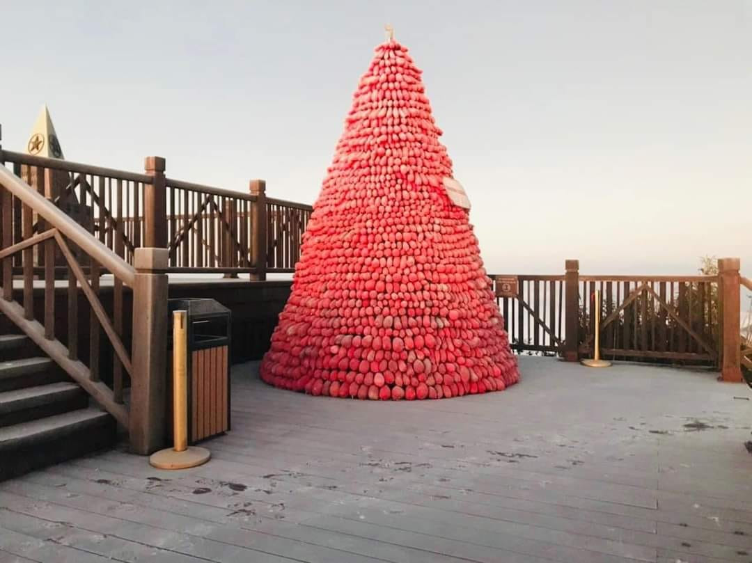 Cây thông độc đáo này đã thu hút khá nhiều bạn trẻ đến check-in, đặc biệt là dưới cái lạnh giá ở nơi đây. Ảnh: Facebook