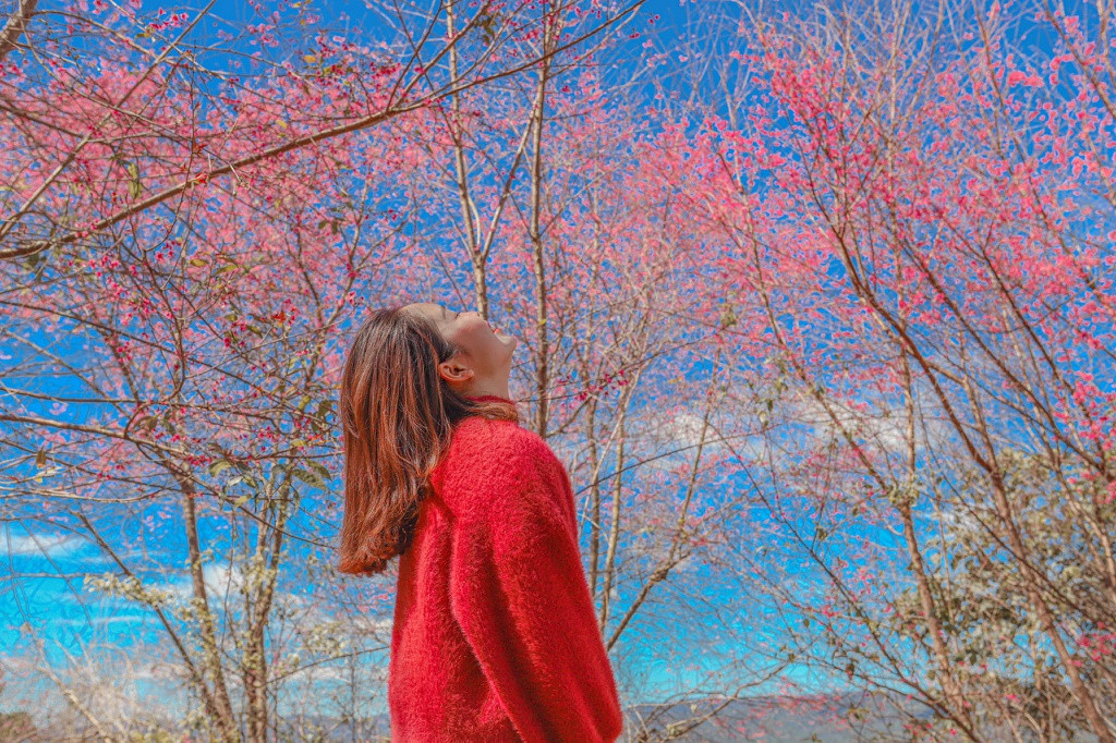 Nơi đây cách trung tâm thành phố Đà Lạt khoảng 17km. Du khách có thể di chuyển theo hướng khu du lịch Langbiang.