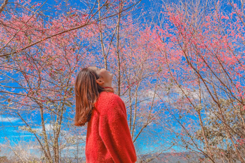 Nơi đây cách trung tâm thành phố Đà Lạt khoảng 17km. Du khách có thể di chuyển theo hướng khu du lịch Langbiang.