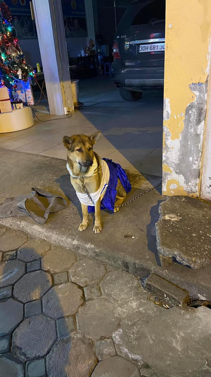 "Và đặc biệt là thời trang của nó còn nhiều hơn đống đồ tui lựa trên mạng nữa. Sáng 1 bộ chiều 1 bộ, tui ngỏ ý hỏi thì được biết nhà tầng trên có cửa hàng thanh lý quần áo nên cho nó mấy bao tải mặc dần qua mùa đông này”, lời chia sẻ của cô gái.