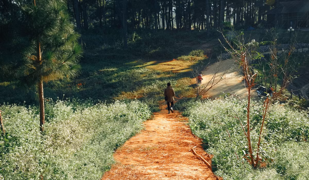 Bên cạnh đó, nơi đây còn hấp dẫn du khách bởi nhiều điểm check in đẹp khác như đồi thông, vườn ươm dâu tây,…ở gần đó.