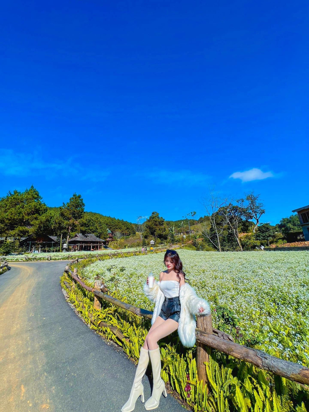 Nhung diem check in hoa cai trang Moc Chau dep quen loi ve