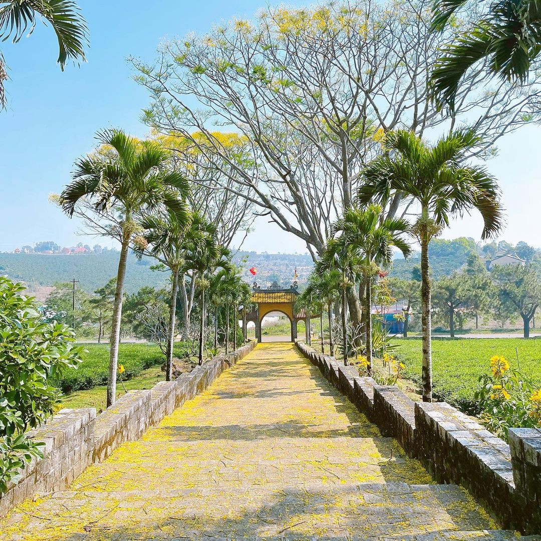 Ảnh: Check in Vietnam