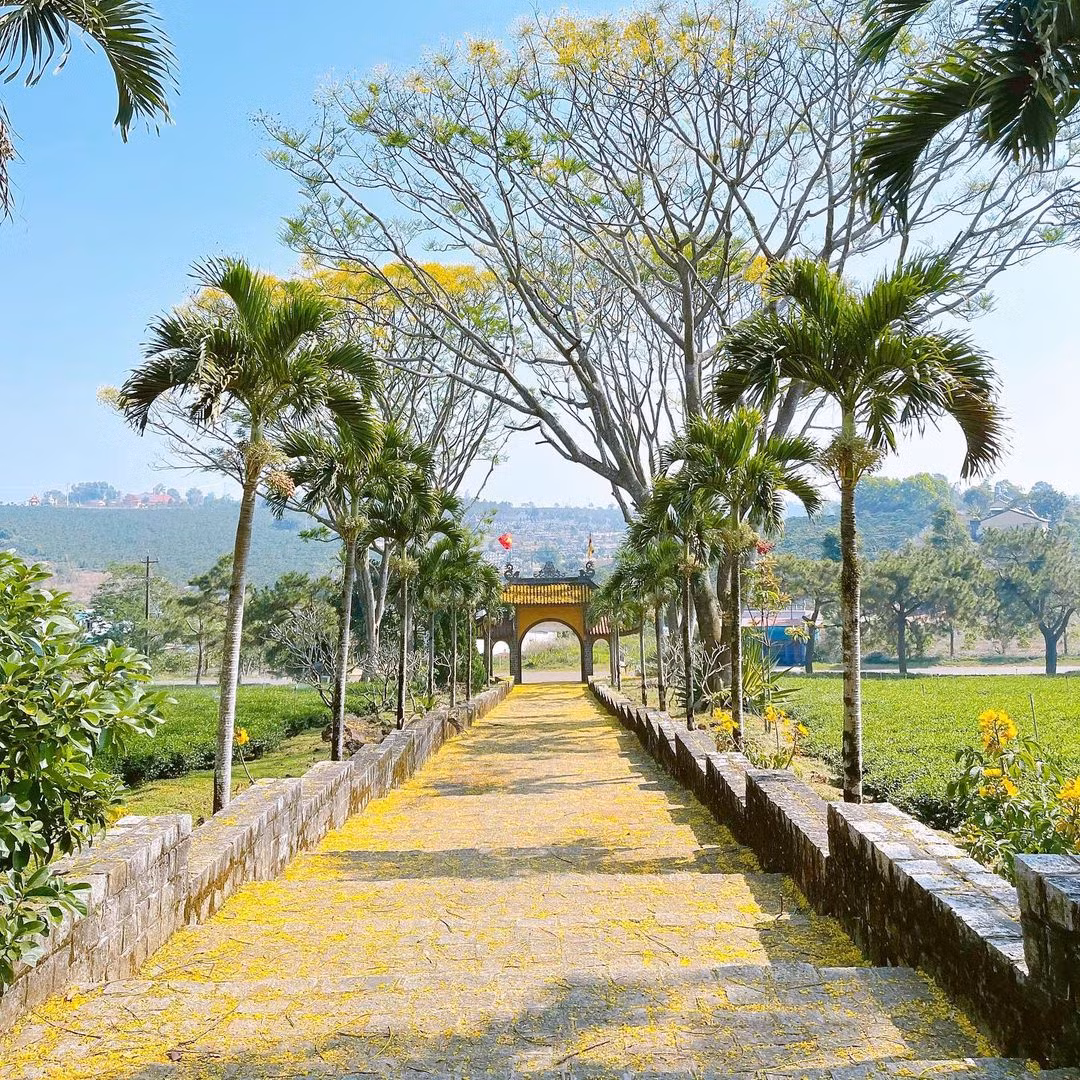 Ảnh: Check in Vietnam