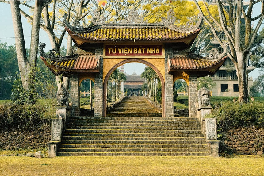 Phượng vàng còn có tên khác là Phật Y, là loài hoa quý hiếm có xuất xứ từ Brazil.