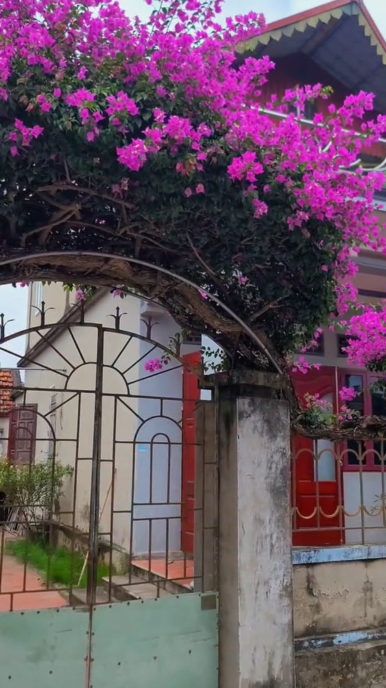 Đoạn clip này sau khi chia sẻ lên MXH nhanh chóng thu hút hàng trăm nghìn lượt xem cùng hàng nghìn bình luận từ netizen.