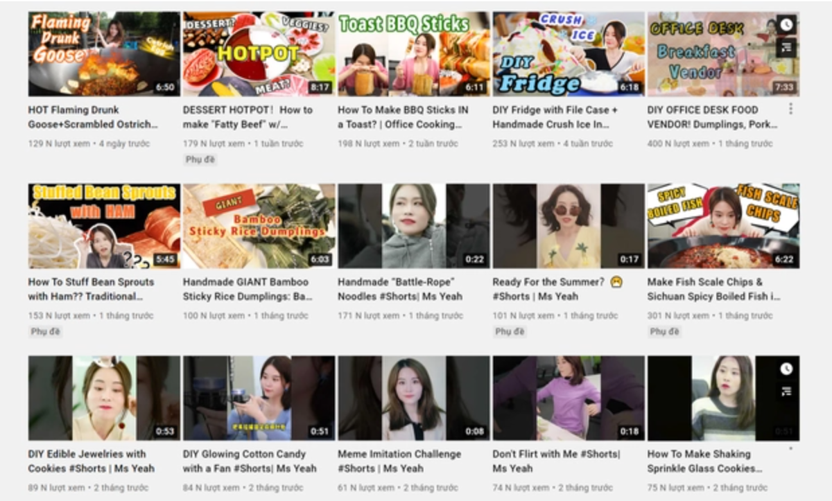 Tiểu Dã có một số lần đăng tải thêm một số video mới nhưng tần suất rất ít. Đến hiện tại, đã hơn 10 tháng Tiểu Dạ không ra video.