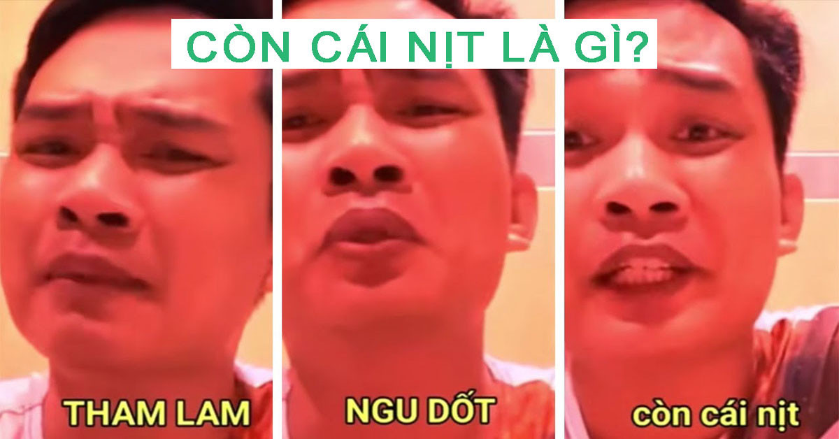 Cụm từ này bắt nguồn từ TikToker Tiến Bịp trong một video nói về chủ đề nhặt được tiền. Nhiều bạn đã nhanh chóng sử dụng và làm cụm từ này trở thành hot trend mạng xã hội.