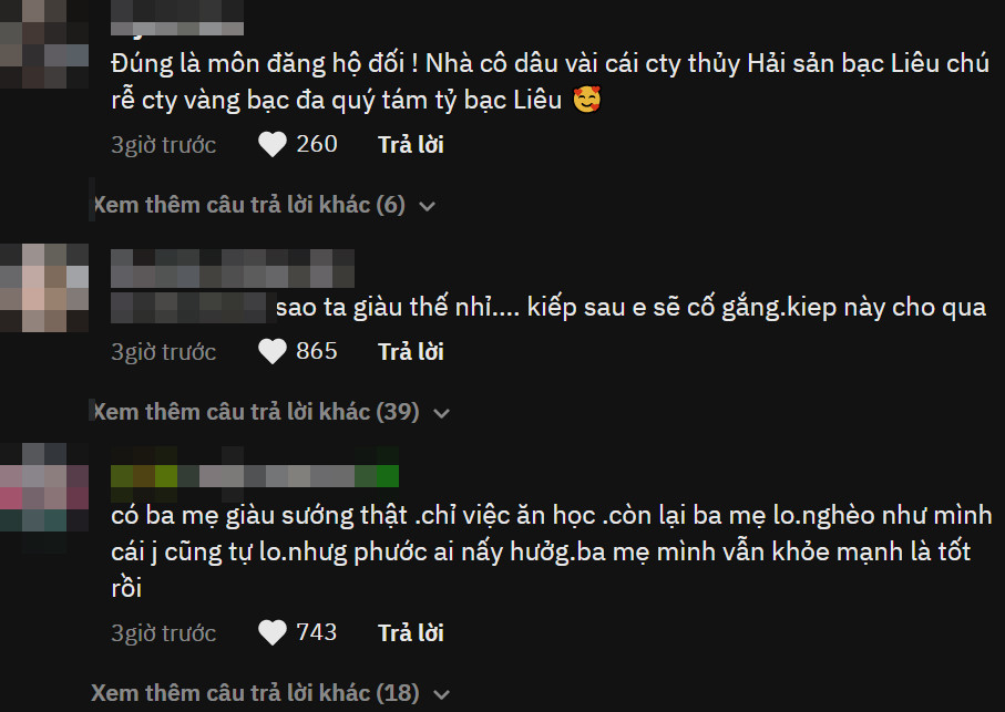 Nhiều người cũng cho biết thêm, cô dâu chú rể môn đăng hộ đối khi gia đình vợ có công ty xuất khẩu thủy hải sản còn phía chồng cũng sở hữu công ty vàng bạc, đá quý.