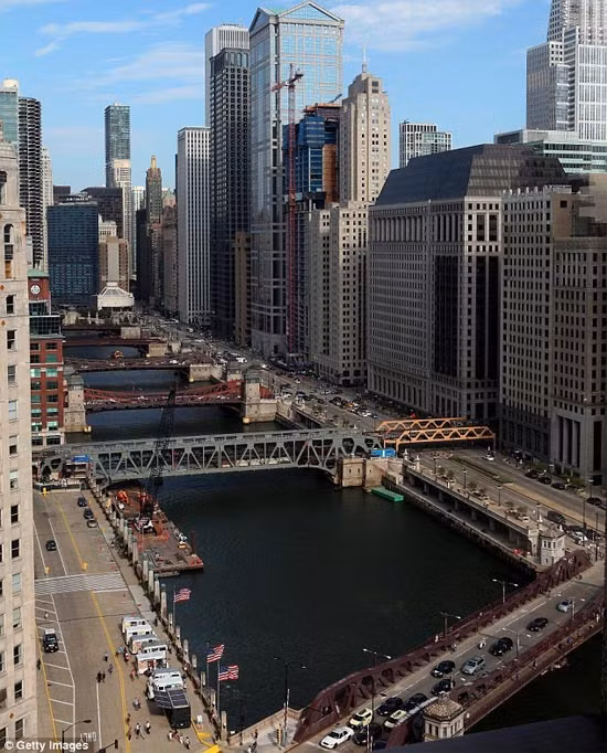 Canh sat lo lang Sinead O'Connor da nhay cau tu tu-Hinh-2