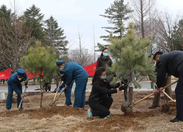 Người dân thủ đô Bình Nhưỡng trồng cây gần Cung Thiếu nhi Mangyongdae ngày 14/3/2023.
