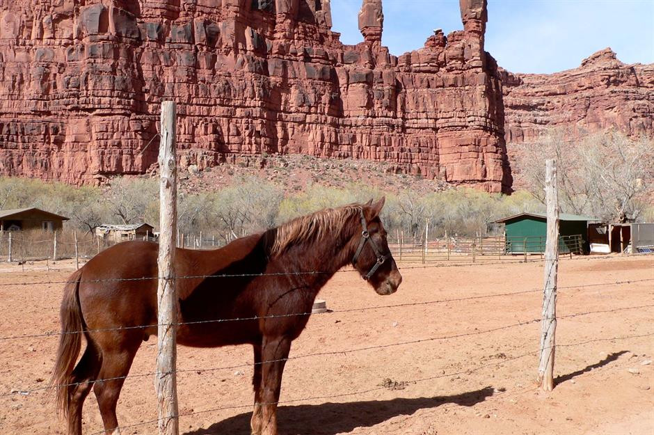 Đây là nơi sinh sống của bộ lạc người Mỹ bản địa Havasupai. Họ đã sinh sống tại khu vực này suốt 800 năm qua, chủ yếu dựa vào săn bắn động vật, làm nông nghiệp.