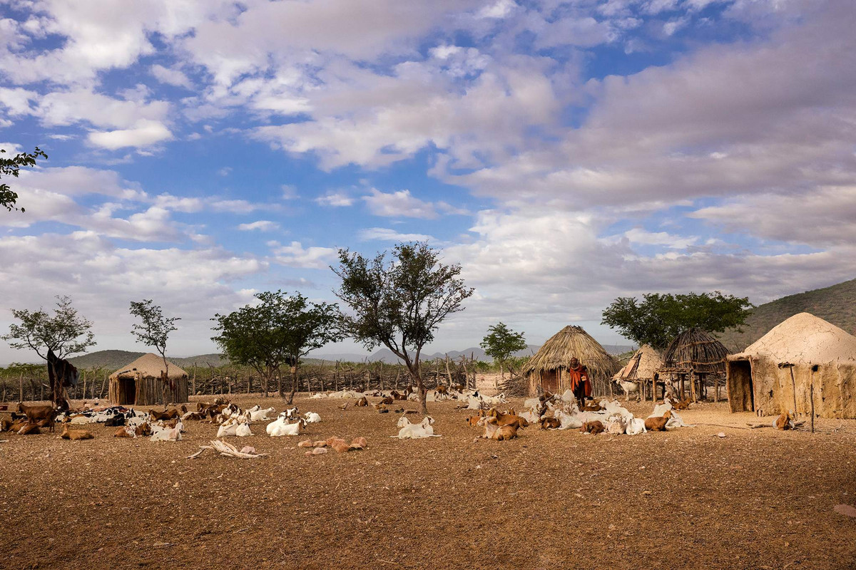 Để bảo vệ truyền thống của bộ lạc, họ đã lựa chọn sống trong những khu rừng và duy trì những tập tục đã có từ 500 năm trước.