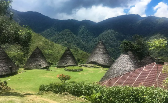 Thức ăn chủ yếu của dân làng là sắn và ngô, nhưng xung quanh làng họ trồng cà phê, vani và quế rồi bán ở chợ, cách đó khoảng 15 km. Ảnh: IT.