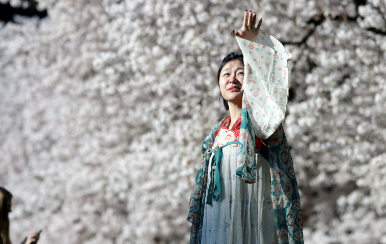 Lucy Chin, 25 tuổi, tạo dáng chụp ảnh trước những cây hoa anh đào trong khuôn viên Đại học Washington ở Seattle, Washington, ngày 19/3.