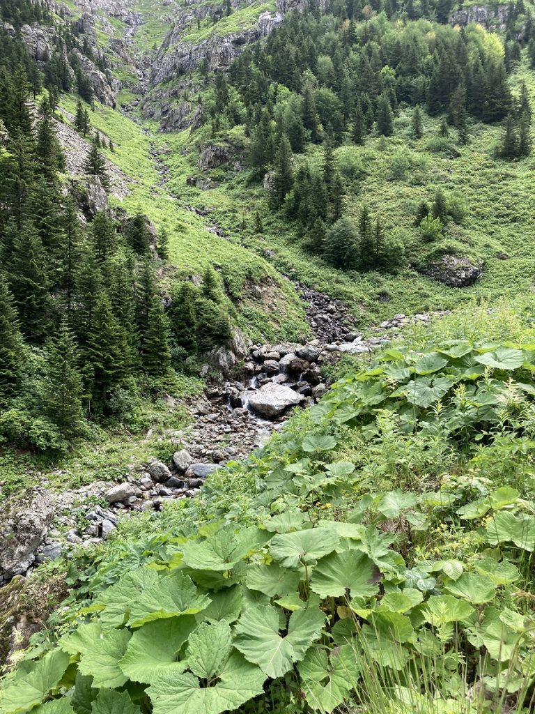 Được biết, đường D915 phục vụ cuộc sống sinh hoạt hàng ngày của cư dân địa phương. Họ điều khiển các phương tiện giao thông như xe tải và xe gắn máy qua con đường này. Ảnh: GG.