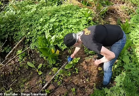 Al cho biết ông thích sống ở một địa điểm xa xôi.