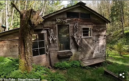 Để sưởi ấm ngôi nhà và phòng tắm hơi mà ông đã xây dựng trong một tòa nhà phụ, Al nói rằng ông tích trữ khá nhiều gỗ.