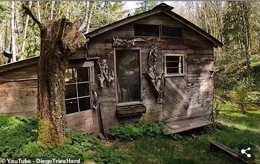 Để sưởi ấm ngôi nhà và phòng tắm hơi mà ông đã xây dựng trong một tòa nhà phụ, Al nói rằng ông tích trữ khá nhiều gỗ.