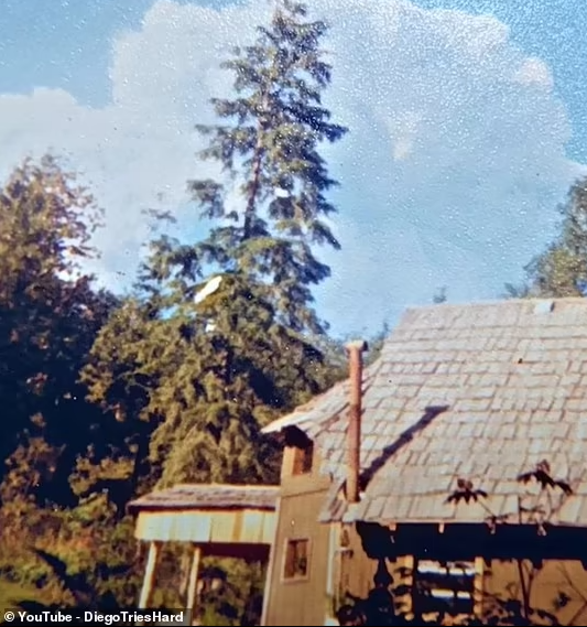 Một điều bất ngờ mà Al chứng kiến khi sống trên mảnh đất hiện tại của mình là vụ phun trào núi St. Helens năm 1980. Ông đã ghi lại khoảnh khắc những đám khói bốc lên khi núi lửa phun trào.