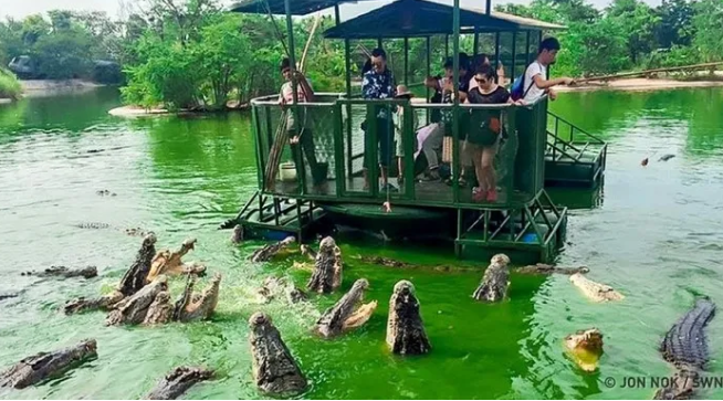 6. Đảo Ramree ở Myanmar nổi tiếng với những đầm lầy ngập mặn nguy hiểm, là nơi sinh sống của một trong những sinh vật nguy hiểm nhất thế giới - cá sấu nước mặn. Ngoài ra, rừng rậm và địa hình khắc nghiệt của hòn đảo khiến việc đi lại trở nên nguy hiểm.