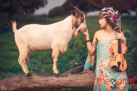 Cô nàng từng đạt giải Ba tỉnh môn Văn nắm lớp 11, giải Nhì tỉnh môn Văn năm lớp 12. Đặc biệt, cuối năm cấp 3, Linh Cảnh đạt giải Nhì cuộc thi "Nữ sinh thanh lịch" do trường THPT Thái Nguyên tổ chức.