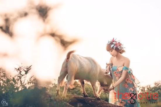 Cây vĩ cầm, chú dê làm bạn diễn... có lẽ Linh Cảnh đã hoàn toàn thành công trong ý tưởng bộ ảnh của mình. Những hình ảnh này được Linh Cảnh chụp tại Vườn nhãn Vĩnh Tuy (Hà Nội).